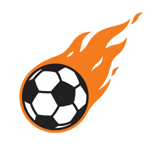 Football Fan