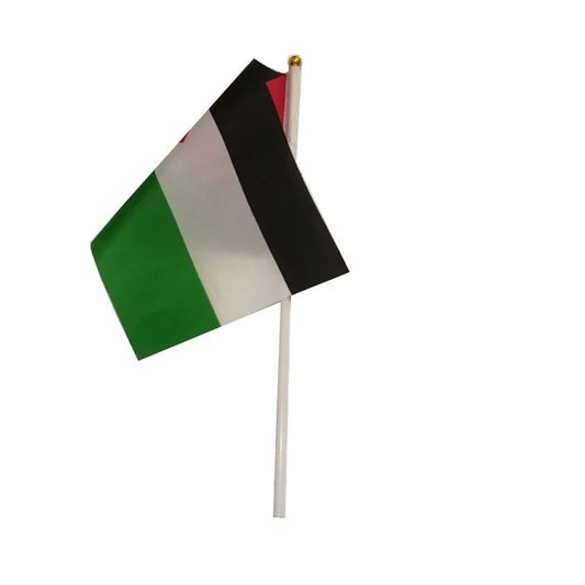 Lot 10 Drapeaux à Main Palestine foot-Fan2Foot