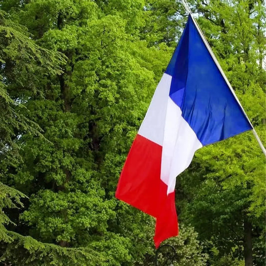Drapeau France foot-Fan2Foot